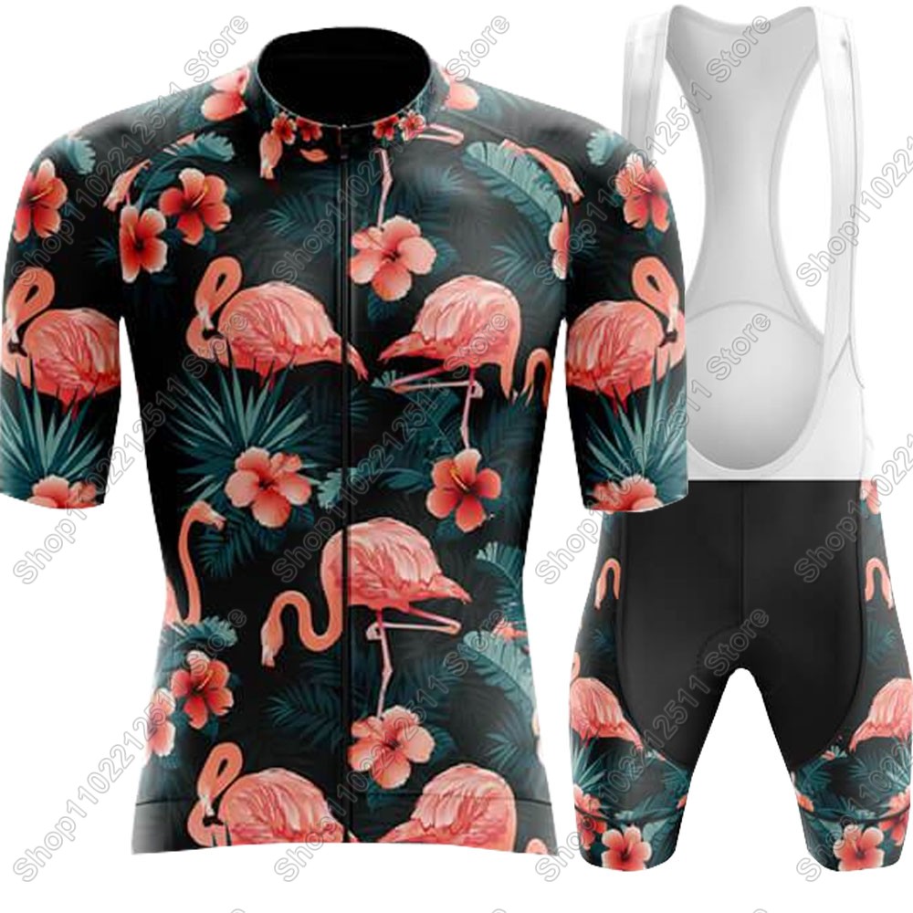 2025, Flamingo Radfahren Jerse – Cycling Bib Shorts Bewertung und Preis